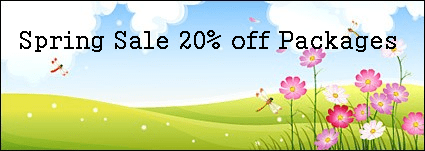 dragonfly in the field 7