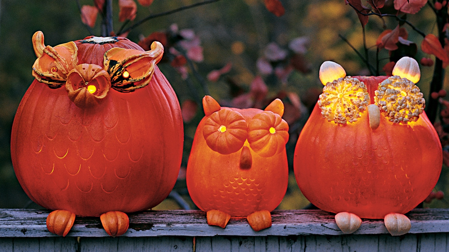 creative-pumpkin-designs