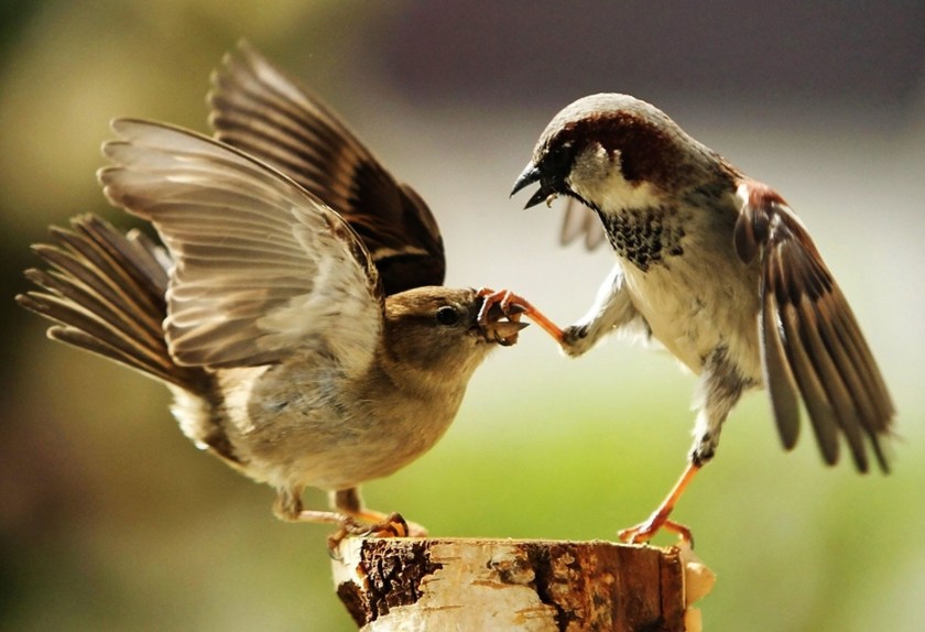 talk-less-listen-more-3