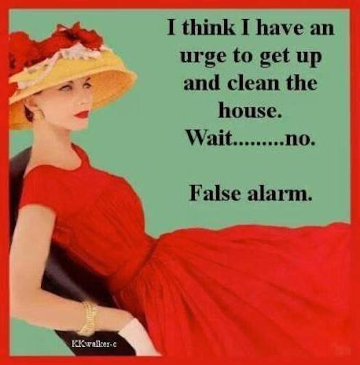 funny cleaning quotes