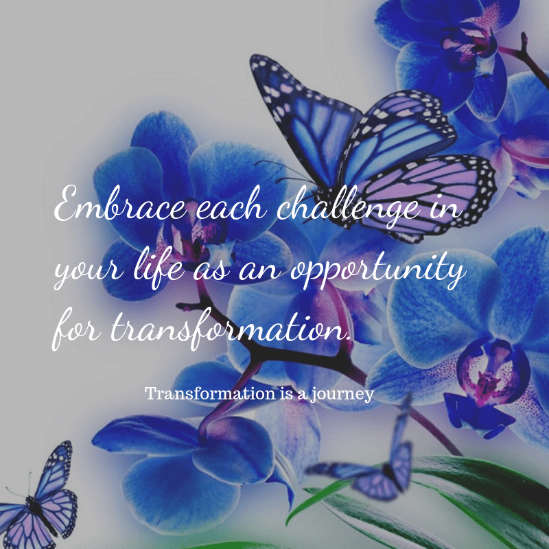 butterfly transformation